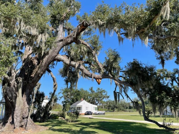 Evergreen Plantation Full Access Private Tour - How to Prepare