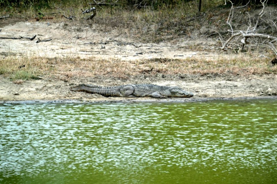 Exploration, Safari, & Guided Scooter Tour in Arugambay - Visits and Destinations