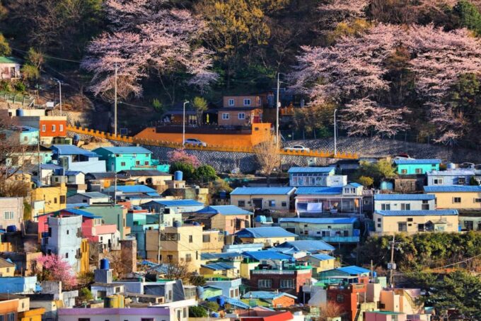 Explore Busan: Cultural Highlights and Scenic Full-Day Tour - Frequently Asked Questions