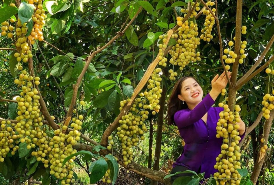 Explore Cai Rang Famous Floating Market in Can Tho - Booking and Cancellation Policy