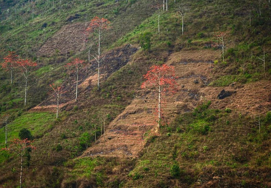 Explore Ha Giang Loop With 2 Days and 1 Night - Booking Information