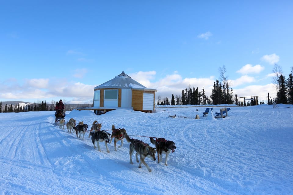 Fairbanks: 1-Hour Alaskan Winter Dog Sledding Adventure - Frequently Asked Questions