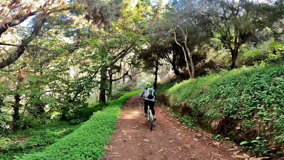 Firgas: Gran Canaria Forest Mountain Bike Tour - Important Considerations