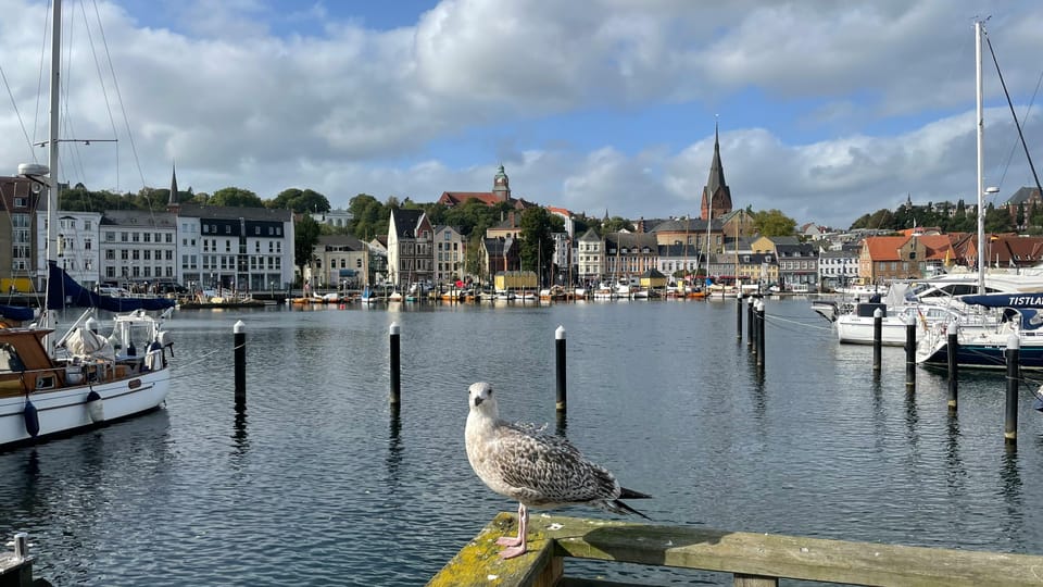 Flensburg: Running Tour With Insider Tip Guarantee - Cancellation and Refund Policy