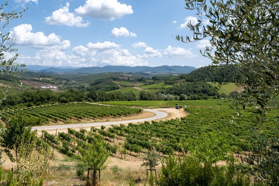 Florence: Chianti E-Bike Tour With Wine Tasting and Lunch - Booking and Cancellation Policy