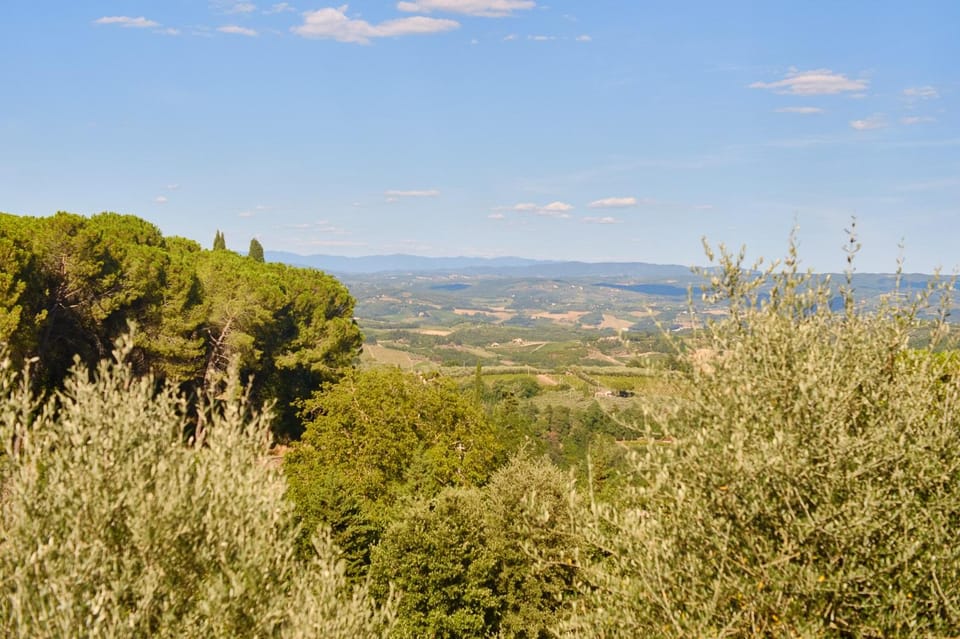 Florence: Siena, San Gimignano, Monteriggioni & Chianti Tour - Meeting Point Details