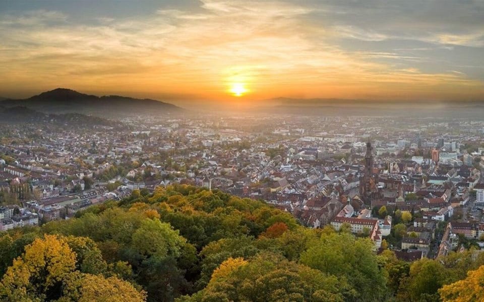 Freiburg: Bus Transfer From/To Basel Euro Airport - Exploring Freiburg Upon Arrival