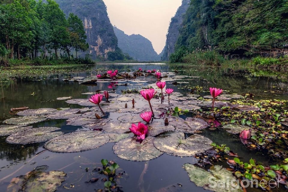 Friendly Travel: Ninh Binh/ Hoa Lu & Tam Coc/ Full Service - Nearby Attractions