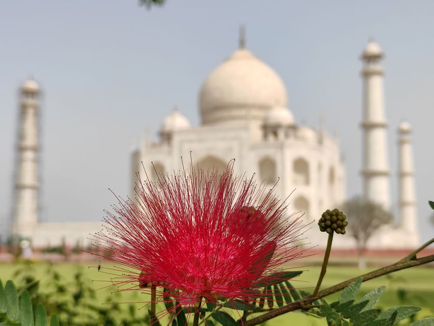 From Agra: Taj Mahal & Agra Local Sightseeing By Tuk Tuk - Frequently Asked Questions