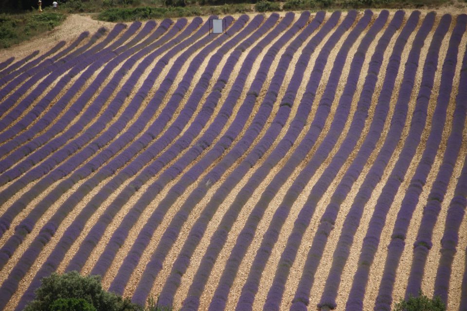 From Aix-En-Provence: Lavender Experience & Gorges Du Verdon - Booking and Cancellation Policies