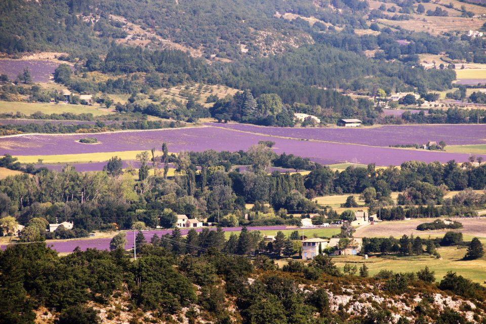 From Aix En Provence: Private Tour of Sault in Van - Discovering Hilltop Villages