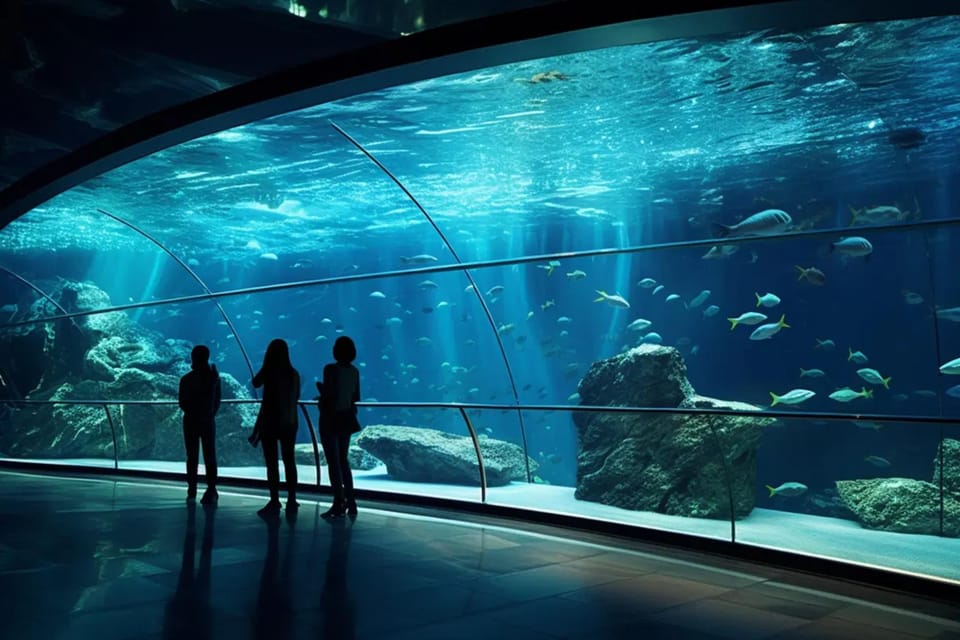 From Antalya All Region: Antalya Aquarium With Transfer - Additional Tips