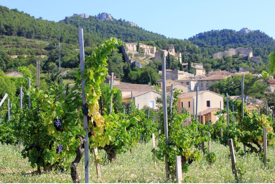 From Avignon: Half-Day Great Vineyards Tour - Booking Information