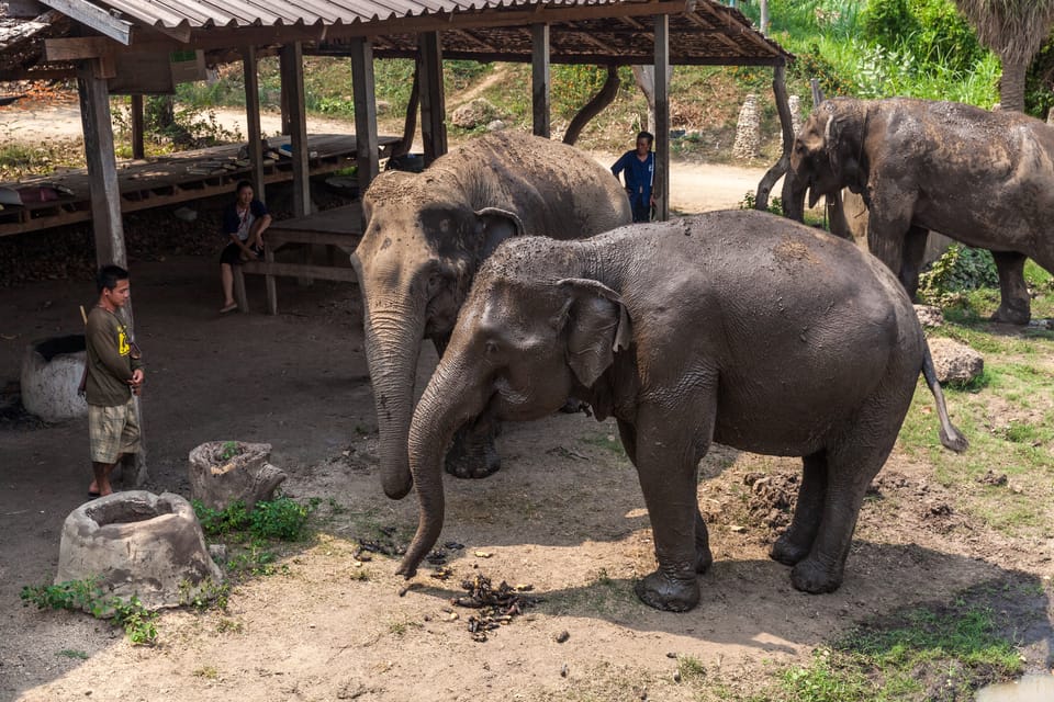 From Bangkok: Elephant Sanctuary and Kanchanaburi Tour - Transportation and Pickup