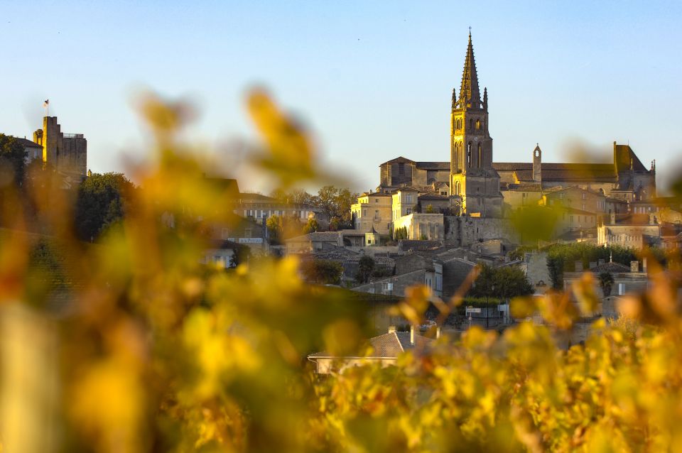 From Bordeaux: Full-Day St Emilion Wine Tasting Tour - Tips for Enjoying Your Tour