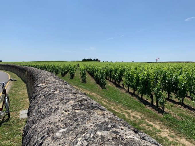 From Bordeaux: Saint-Emilion Guided Wine Tasting Tour - Meeting Point and Transportation