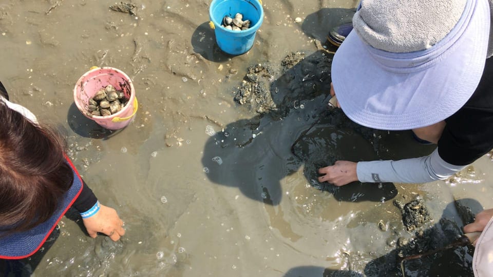 From Busan: Geoje Mudflat Experience and Korean Gourmet Food - Frequently Asked Questions