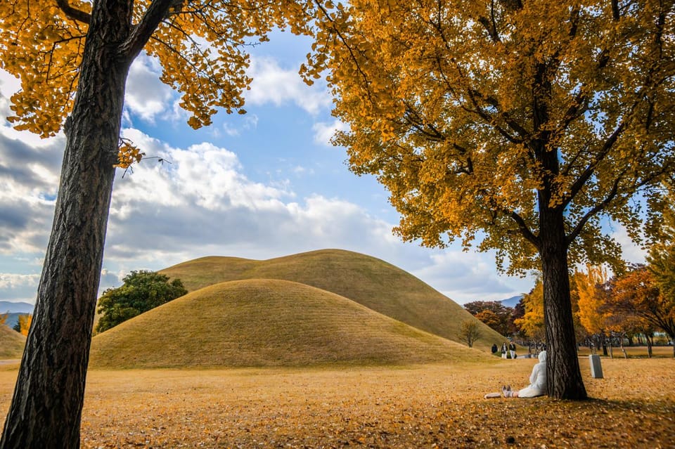 From Busan: Gyeongju Autumn Foliage One Day Tour - Autumn Leaves and Traditional Hanok