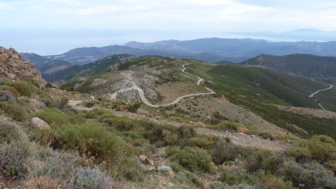 From Calvi: 4x4 Day Tour Mountain & Agriates Saleccia Beach - Tips for a Great Day