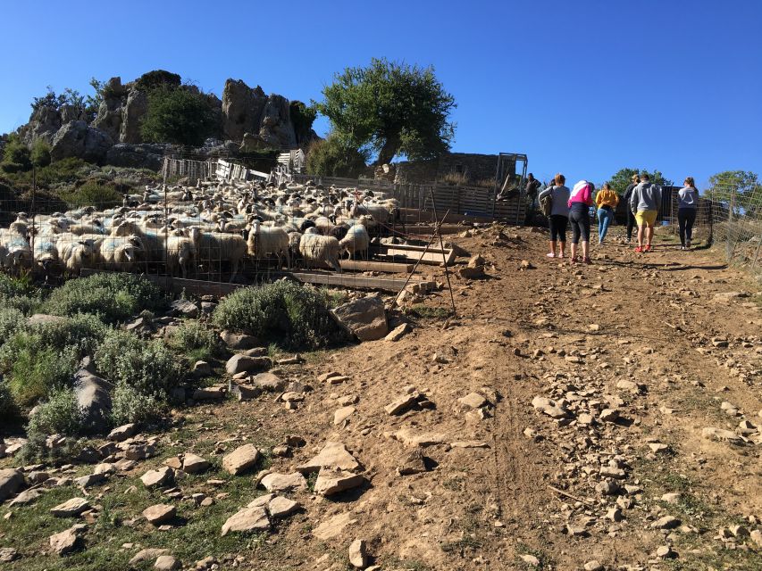 From Chania: White Mountains Land Rover Safari - Transportation and Pickup