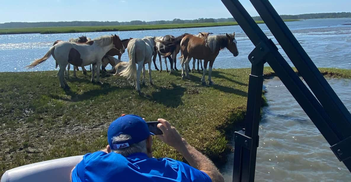 From Chincoteague: Pony and Wildlife Boat Tour - Enjoy Breathtaking Scenery