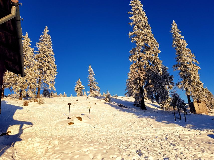 From Cluj-Napoca: Day Hike to Vlădeasa Peak - Nearby Attractions