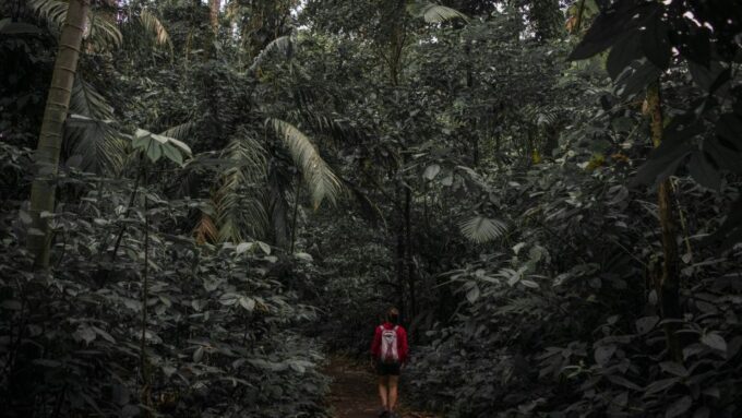 From Colombo-Negombo-Bentota-Kalutara: Sinharaja Hike - Preparing for the Hike