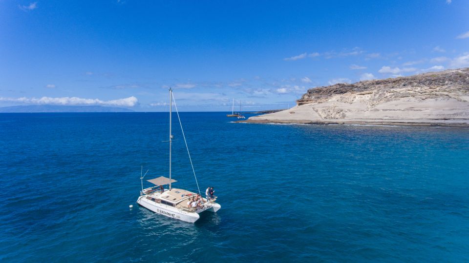 From Costa Adeje: Private Catamaran Tour With Snorkeling - Customer Feedback