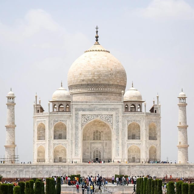 From Delhi: Private Delhi Agra & Jaipur Golden Triangle Tour - Contact and Additional Support