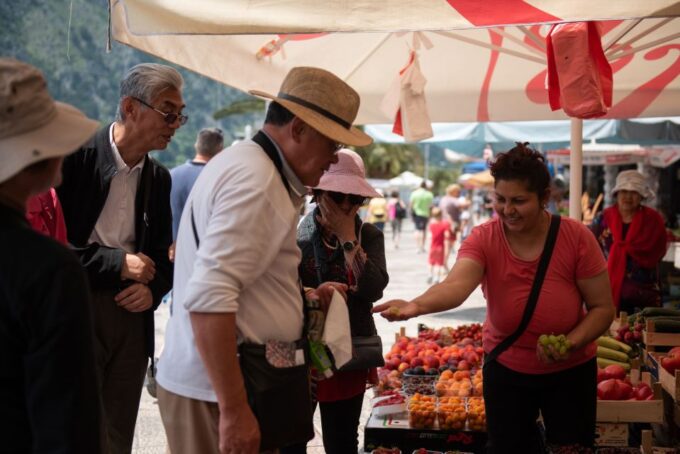 From Dubrovnik: Guided Day Trip to Bay of Kotor - Contact Information
