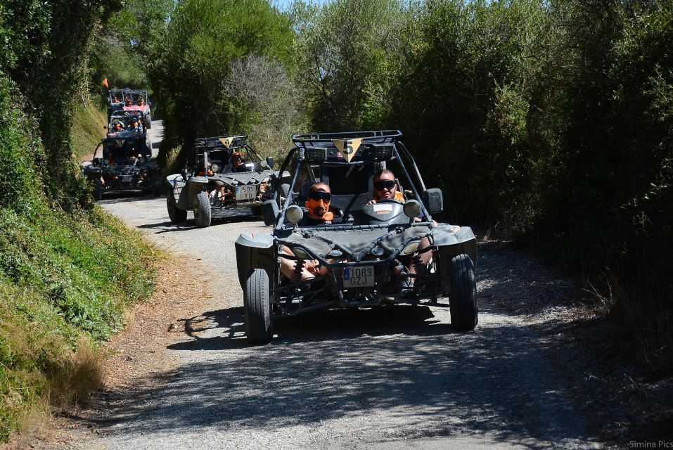 From East Mallorca: Guided Beach and Mountain Buggy Tour - Cancellation and Availability