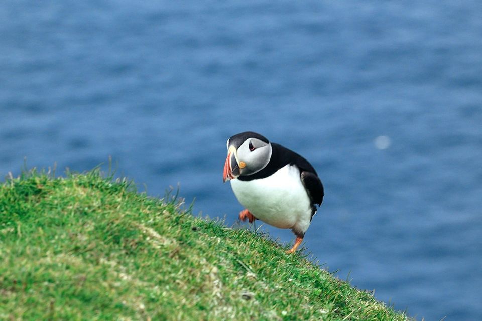 From Edinburgh: 6-Day Shetland & Nothernmost Explorer - Booking Information