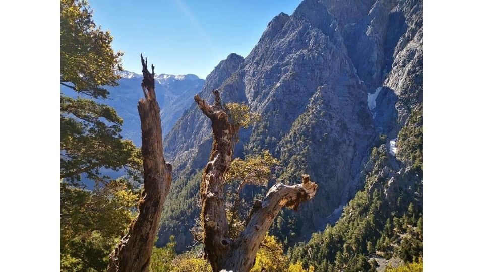 From Georgioupolis: Roundtrip Transfer to Samaria Gorge - Physical Demand