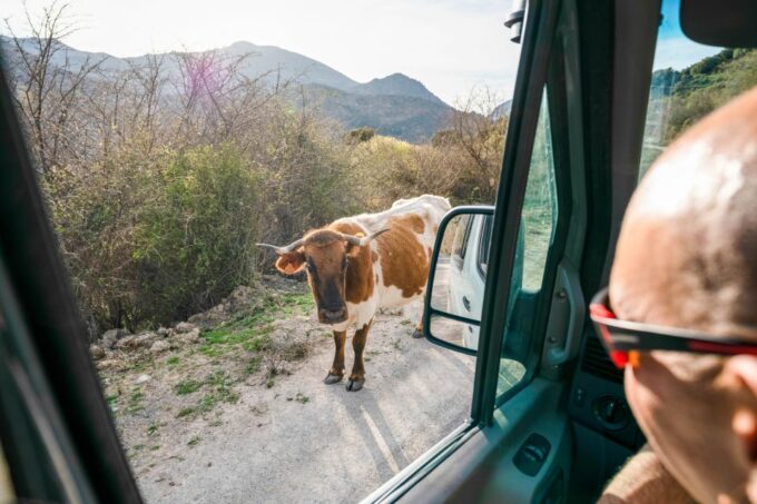 From Granada: Sierra Nevada Guided 4x4 Tour to 2500 Meters - Customer Feedback and Recommendations