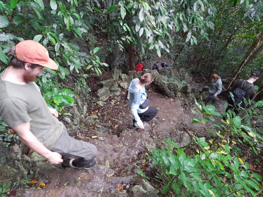 From Ha Noi: Cuc Phuong National Park Full Day Small Group - Booking Information