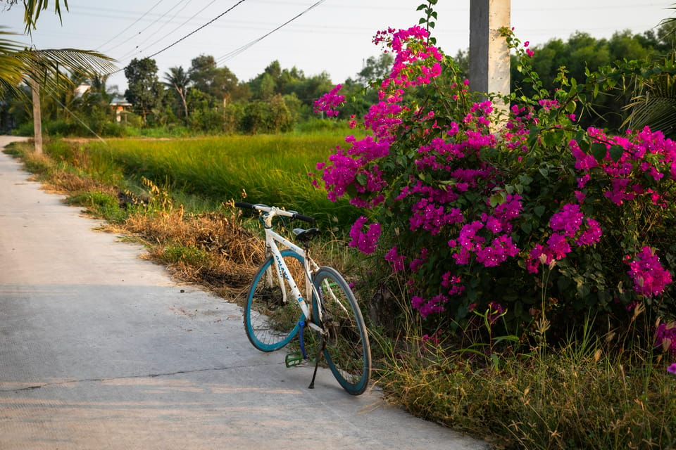 From Ha Noi: Mekong Last in HCM Package Tour 16 Day 15 Night - Travel Tips and Recommendations