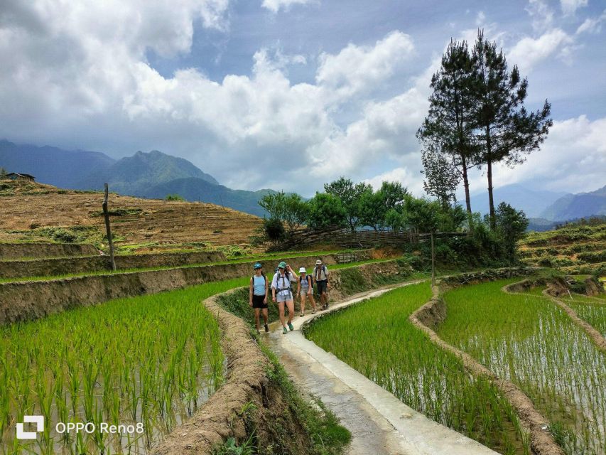 From Hanoi: 2-Day Sapa Trek& Overnight in Cosy Ethnic Family - Frequently Asked Questions