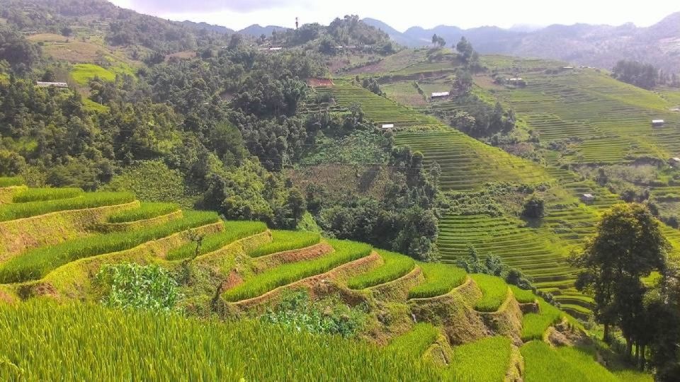 From Hanoi: 2 Day Sapa Trekking To Village & Bungalow - Booking and Cancellation Policy