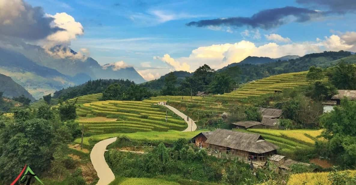 From Hanoi: Admire The Terraced Field In The Local Village - Booking Information