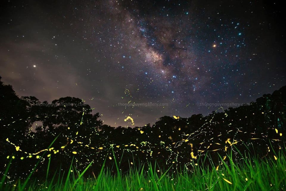 From Hanoi: Visit Cuc Phuong National Park & Admire Firefly - Frequently Asked Questions