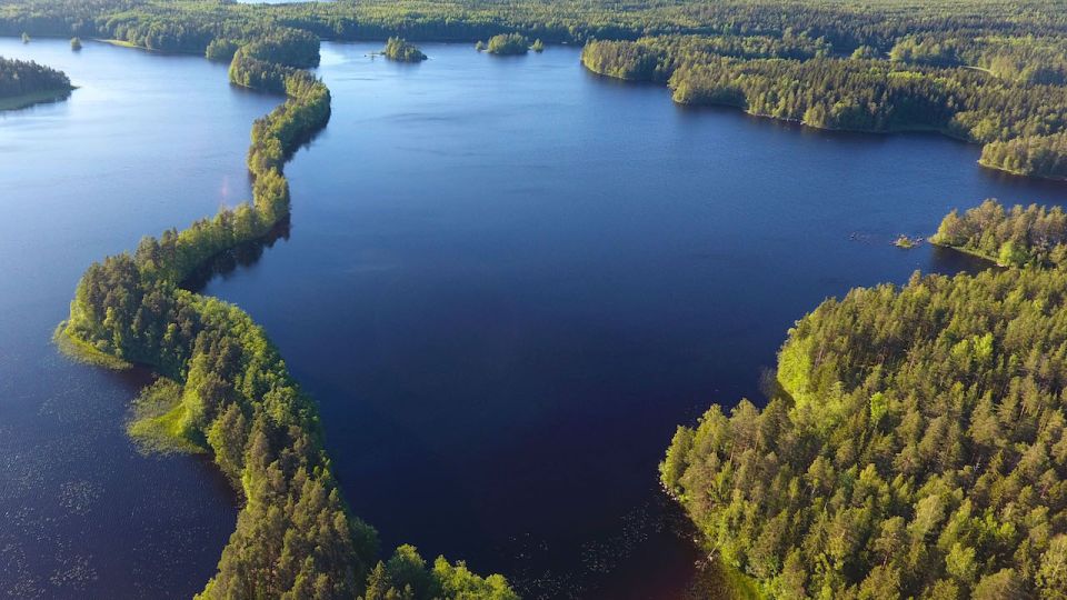 From Helsinki: Berry Picking Day Trip in a National Park - Frequently Asked Questions