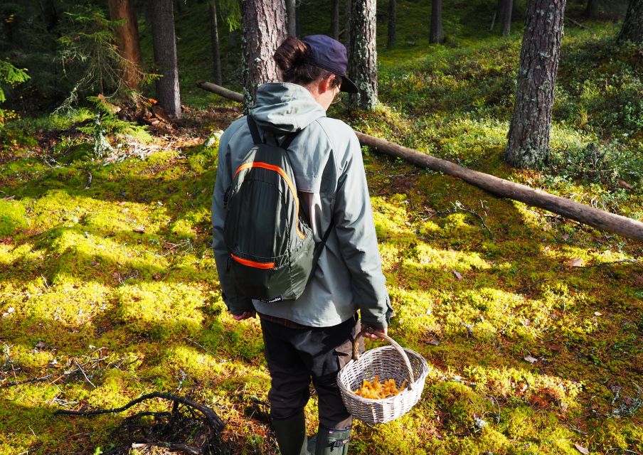 From Helsinki: Mushroom Hunting Tour in a National Park - Booking Information