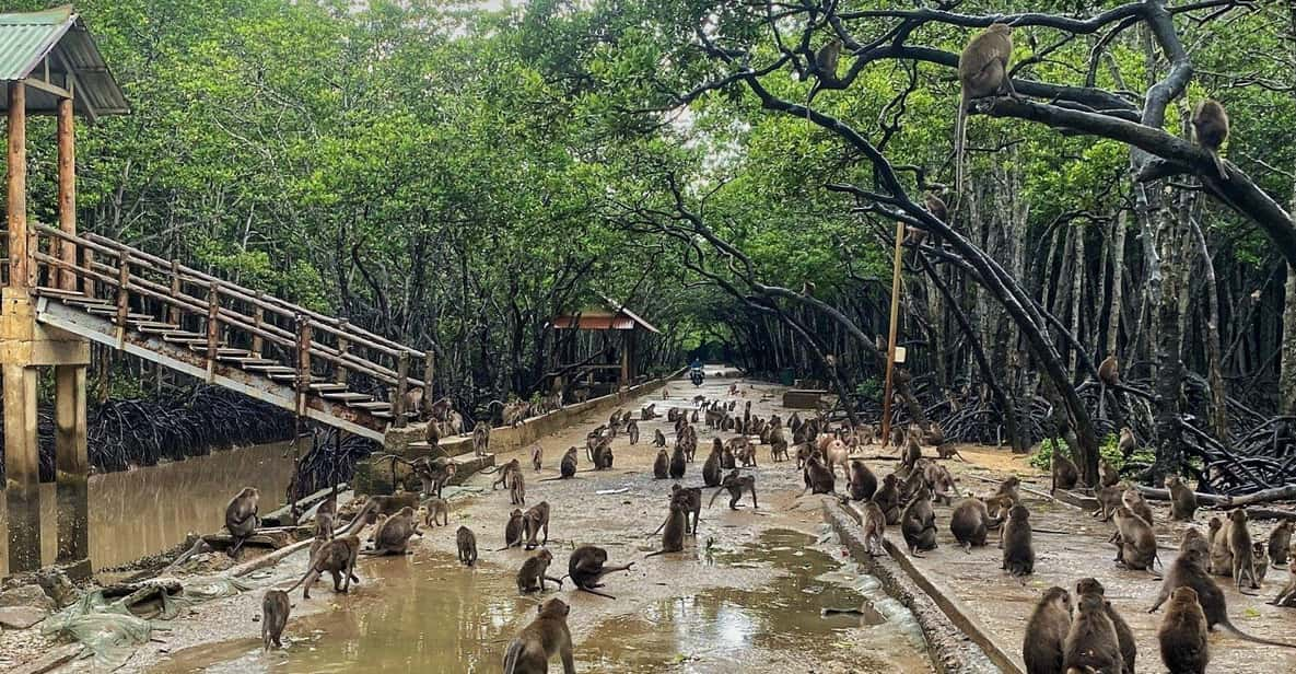 From Ho Chi Minh: Can Gio Mangrove Group or Private Tour - Speedboat Ride and Market Visit