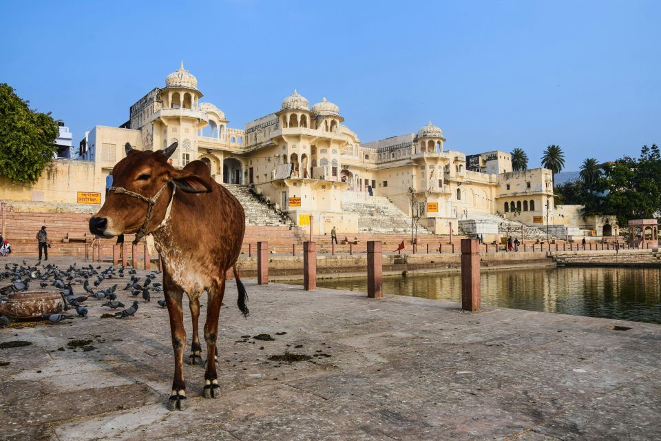 From Jaipur: Private Self-Guided Same Day Trip to Pushkar - Frequently Asked Questions