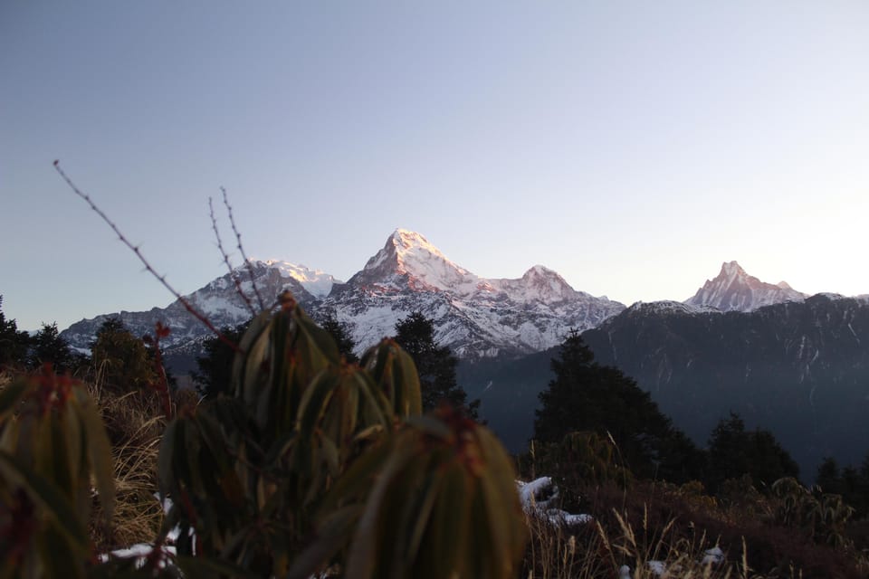 From Kathmandu: 6 Day Poon Hill & Ghandruk Easy Trek - Cancellation Policies