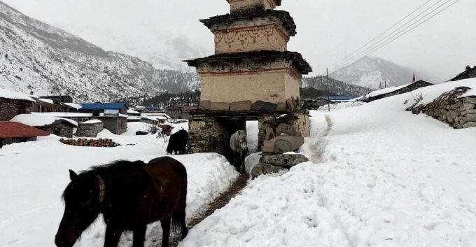From Kathmandu: Manaslu Circuit Tea House Trek 11 Days - Cultural Highlights