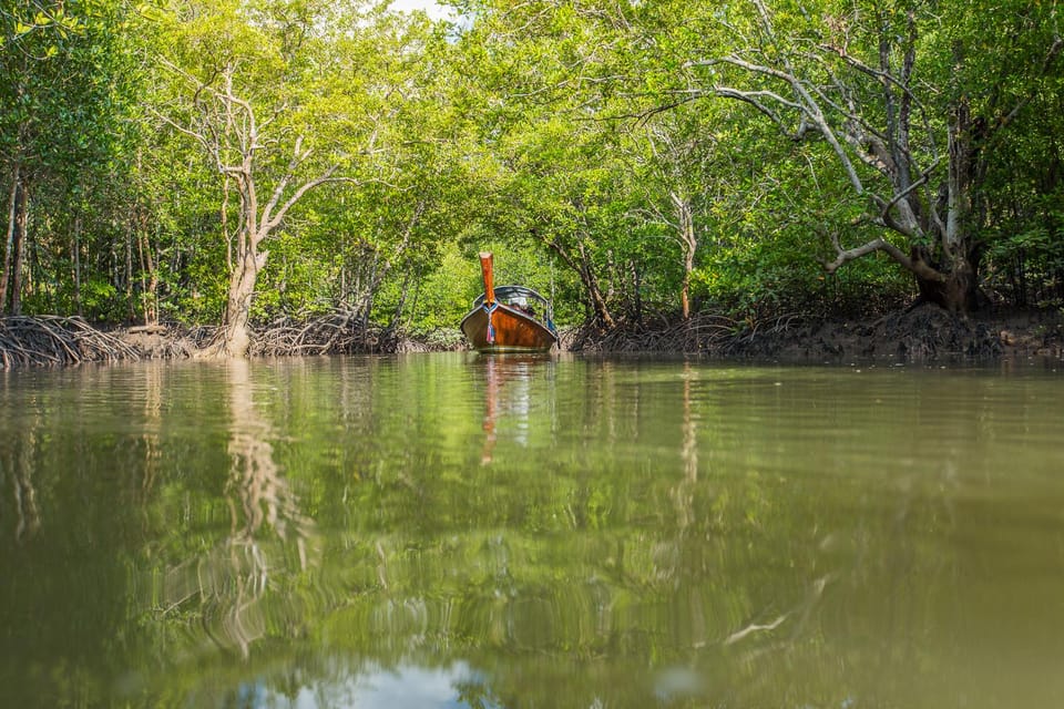 From Ko Lanta: Mangrove Eco-Excursion by Longtail Boat - Customer Ratings and Feedback