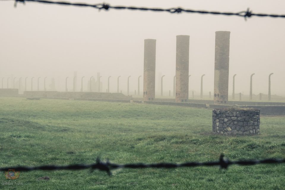 From Krakow: Auschwitz-Birkenau Tour With Transportation - Tips for the Tour