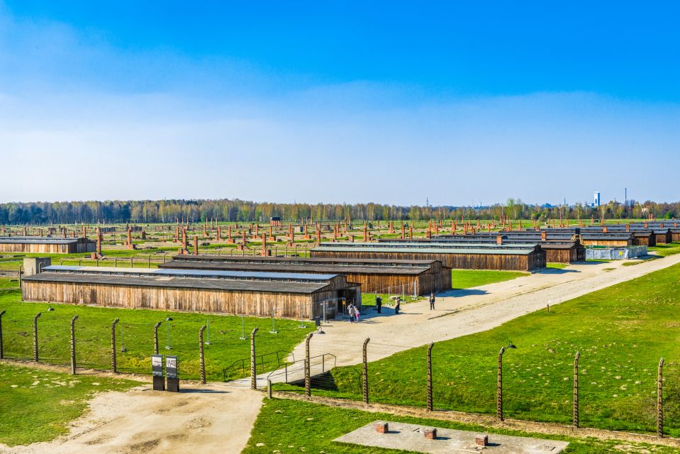 From Krakow: Auschwitz-Birkenau Tour With Transportation - Tips for a Meaningful Visit