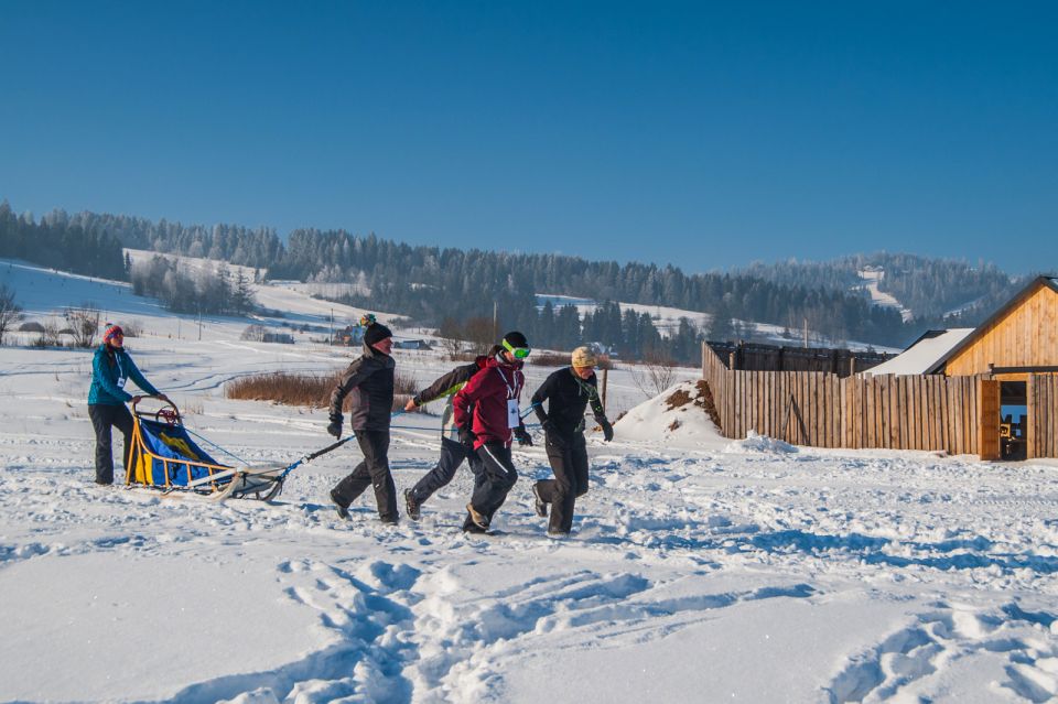 From Krakow: Dogsled Ride in Tatra Mountain - Tips for an Enjoyable Adventure